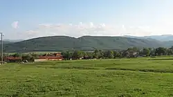 Views of the fields