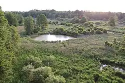 Białowieża National Park