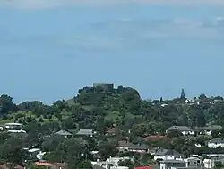 Big King from Mt Albert