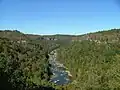 Big South Fork Cumberland River