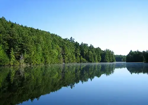 Pond