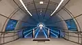 Access tunnels