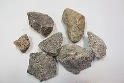 Biotite-bearing granite samples (small black minerals)