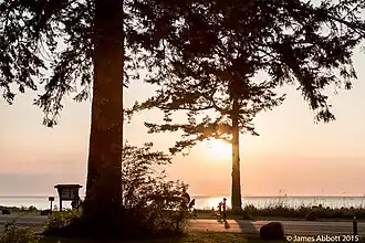 Shore view