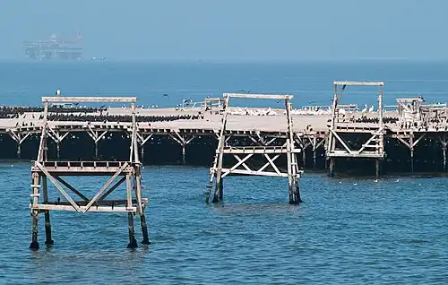 Bird Island