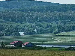 Dârloaia village
