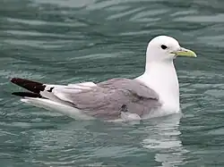 In Seward, Alaska