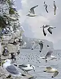 ID composite