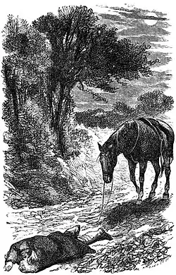 A black and while illustration depicting the following scene from the book Black Beauty: "The moon had just risen above the hedge, and by its light I could see Smith lying a few yards beyond me."—Page 121.