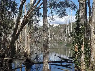 Black Duck Creek, 2016