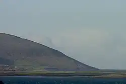 Black Head