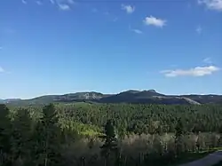 A landscape photograph of the Black Hills of South Dakota. A densely packed forest of deep green trees extends up to the hills in the distance, beneath a near-cloudless sky.