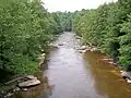 The Blackwater River near where it crosses into Blackwater Falls State Park
