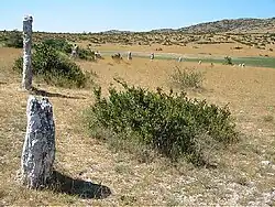 Part of the Rigalderie stone circle in Blandas