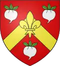 Coat of arms of Rabastens-de-Bigorre