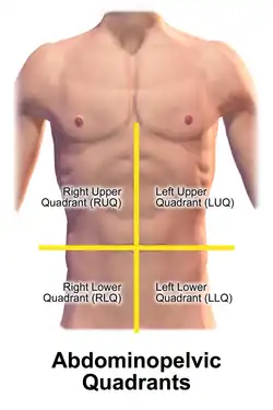Abdominopelvic quadrants