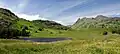 Blea Tarn and the surrounding meadows in July, with the Langdale Pikes in the background.
