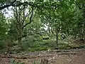 Obere Felsgruppe am Bleibeskopf