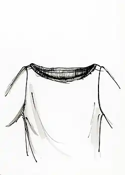 Boat neck sketch