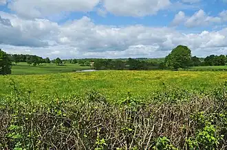 near Couzon