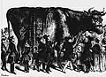 "What a prodigious beast! Si nous pouvons être un jour de cette force-là!!!", drawing by Pruche, 1843.