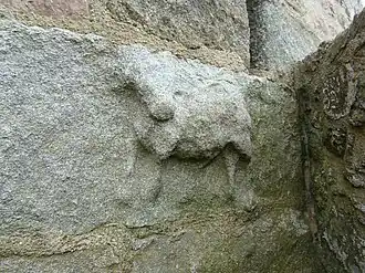 the bull of Saint Luke.