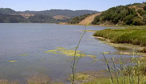 Bolinas Lagoon in 2009