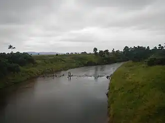 South Johnstone River at Boogan, 2013