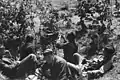Battle for Bosiljevo (1944)