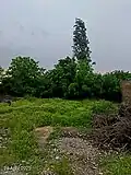 Lush landscapes and rich nature of Sahel Borj village