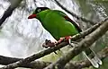 Photo taken near Liwagu Restaurant, Kinabalu Park