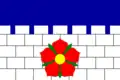 Flag of Borovany