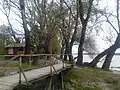 Danube in Borovo