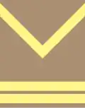 Stariji vodnik (Bosnian Ground Forces)[16]