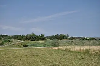 Landscape