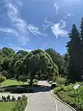 Garden path