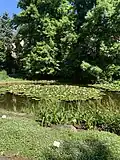 One of the lakes