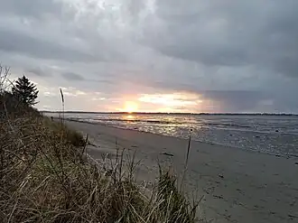 Seascape