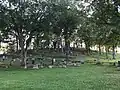 Boxwood Cemetery hillside