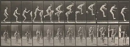 Original collotype