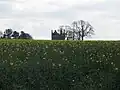 The castle in 2019
