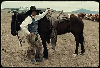 Branding on the Ninety-Six Ranch