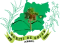 Coat of arms of Buriti de Goiás