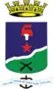 Official seal of Porto Acre