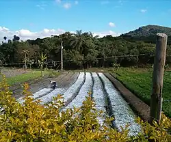 Dom Orione, a small agricultural community of 39 homes situated 10 minutes from Betim, the site of one of Project Gaia Inc.'s Brazilian pilot studies.