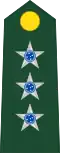 Captain