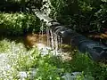 Streambed at Brewer