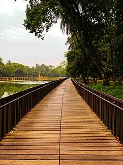 Bridge
