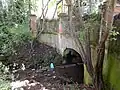 Site where the Shirebourne emerges from its culvert at Victoria Recreation Ground
