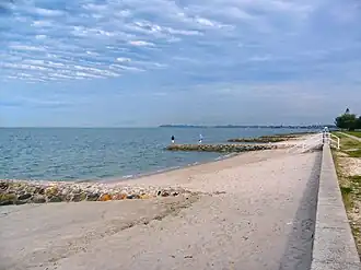 Brighton shoreline at Bramble Bay (looking south), 2010